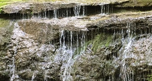 It takes Determination to move a Rock or change a Business.